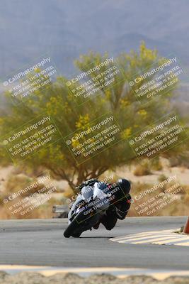 media/Apr-10-2022-SoCal Trackdays (Sun) [[f104b12566]]/Turn 5 Tree of Life (1040am)/